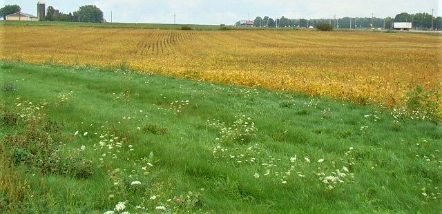 Prime Commercial Land!