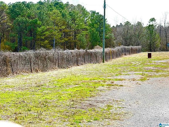 5th image of 0 County Line Rd