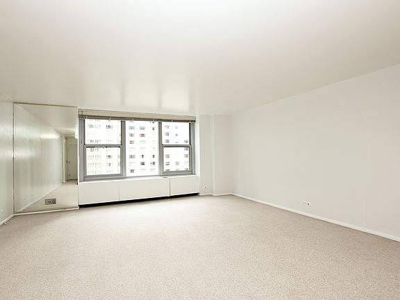 3rd image of 777 N Michigan Ave APT 1509