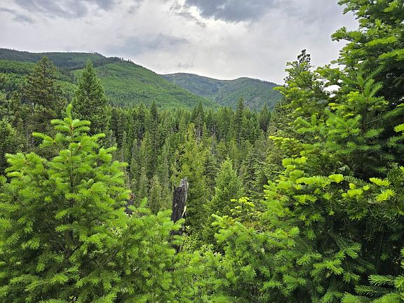 4th image of 4577 Quartz Creek Rd