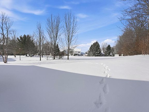 4th image of 6831 Tree Top Trl