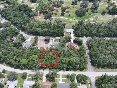 9136 N Golfview Dr, Citrus Springs, FL, 34434