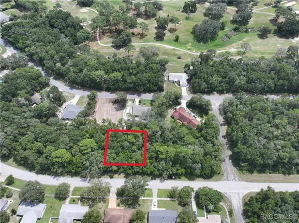 9136 N Golfview Dr, Citrus Springs, FL 34434