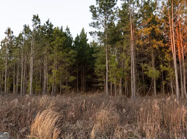 0 Highway 26 E, Montrose, GA 31065