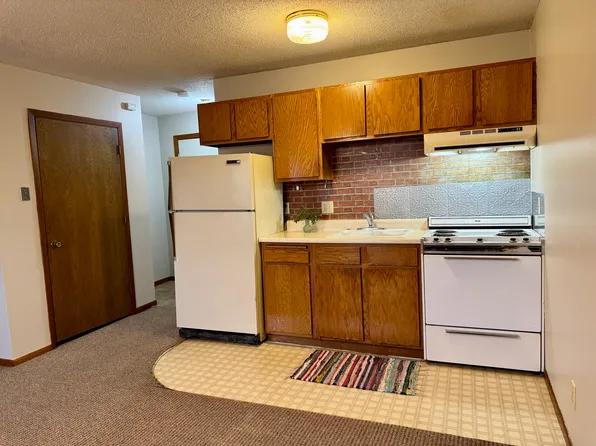 331 Atlantic Ave W #4, Dassel, MN 55325