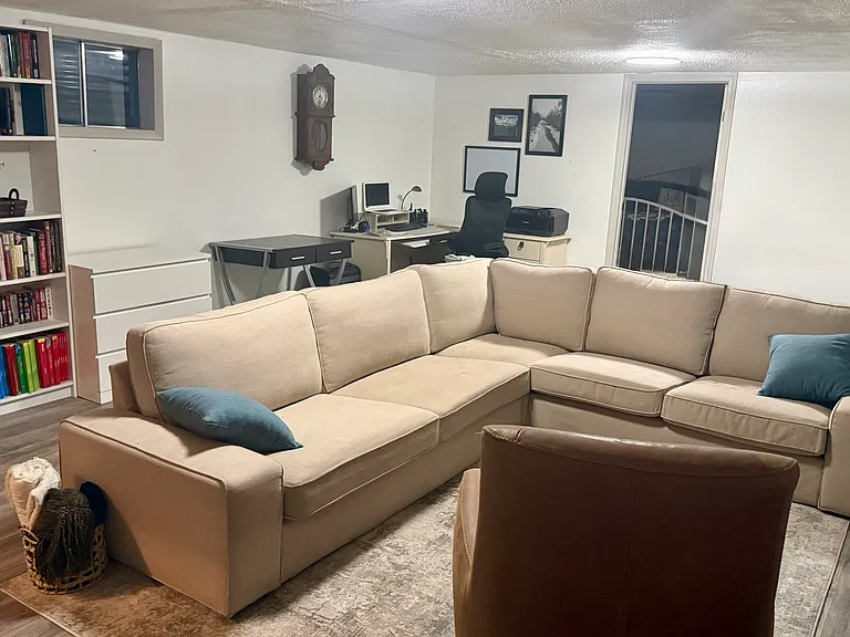 Basement living room
