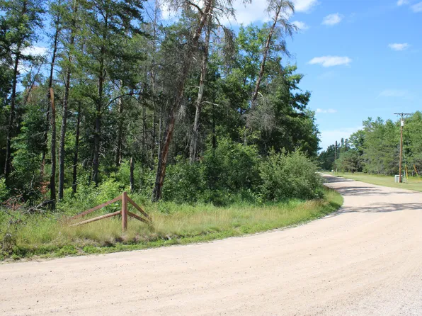 Lots 67 68 E Jackpine Loop, Mio, MI 48647