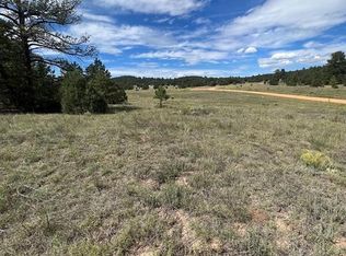 1038 Texas Creek Ln, Cotopaxi, CO 81223