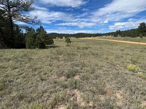 1038 Texas Creek Ln, Cotopaxi, CO 81223