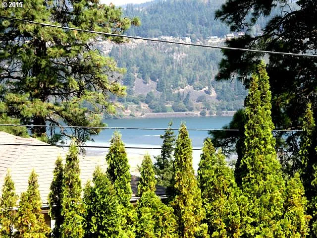 Eugene photo 1