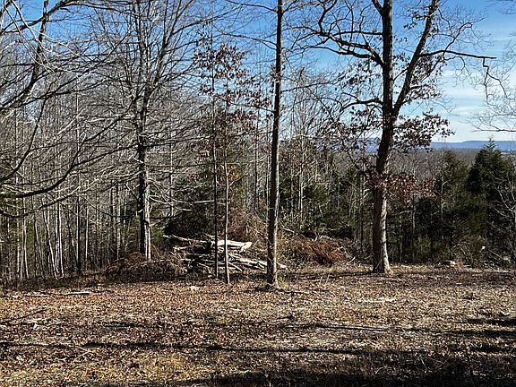 5th image of 7799 McMinnville Hwy