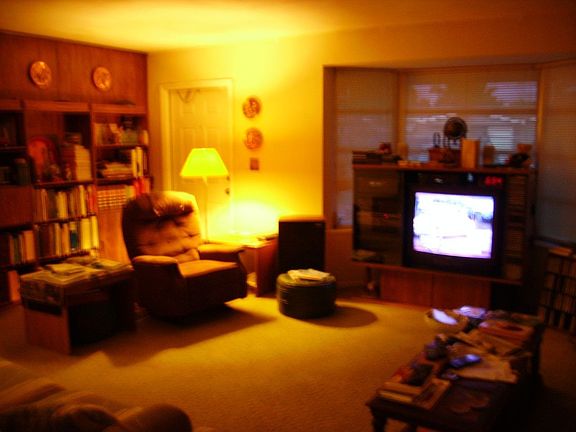 Living Room Bay Window