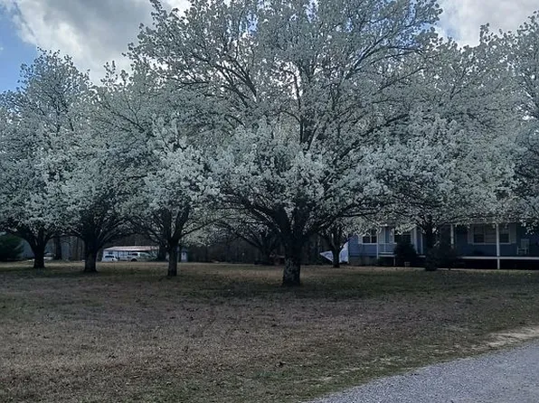 150 Berry Rd, Somerville, AL 35670