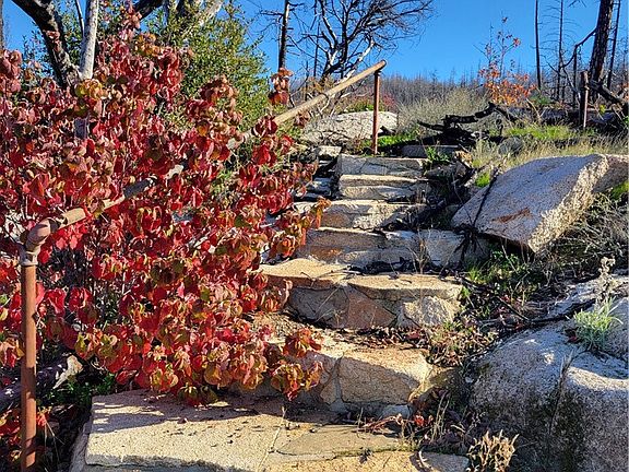 4th image of 161 Shadow Creek Rd