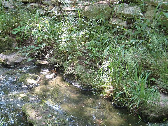 Winding Creek