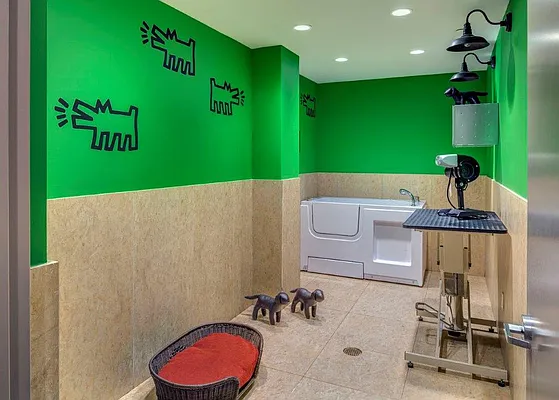 Rented by Halcyon Management Group LLC | media 107