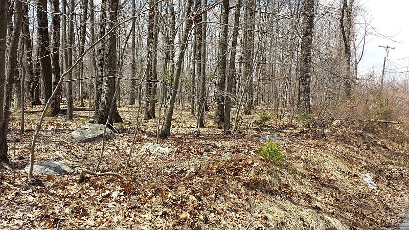 2nd image of 495 Split Rock Rd