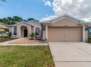 19026 Fern Meadow Loop, Lutz, FL 33558