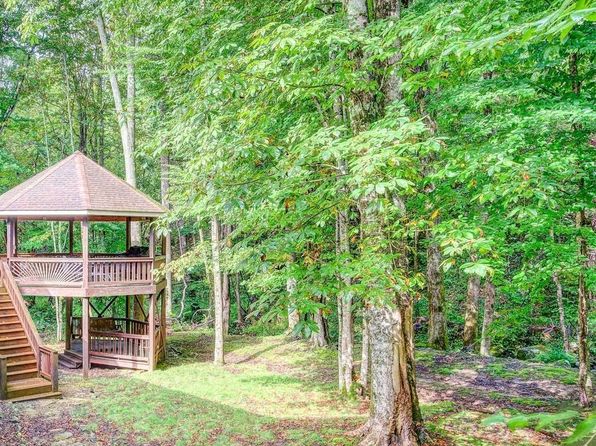 206 Toms Creek Cir, Roan Mountain, TN 37687