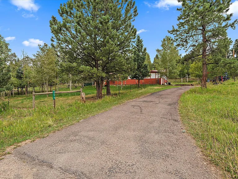 356 Yellow Pine Dr — Photo 3