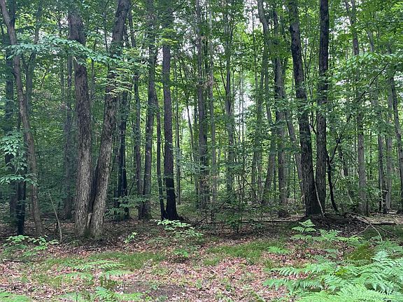2nd image of N Forest Ln
