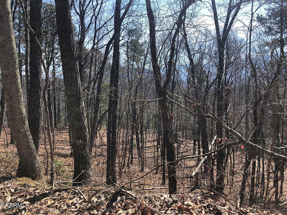 1st image of LOT 91 Silverbell Dr
