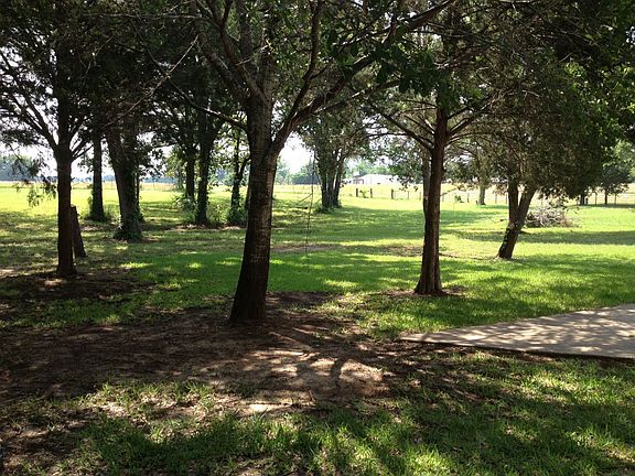 Beautiful Trees