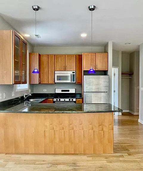 1150 N Hoyne Ave #2 — Photo 2