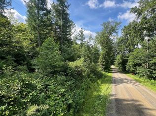 316 Bardin Rd, Mount Vision, NY 13810