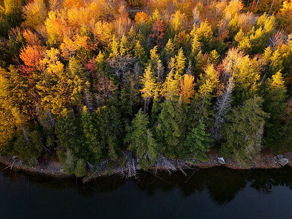 2nd image of 156 Upper Dark Cove Road