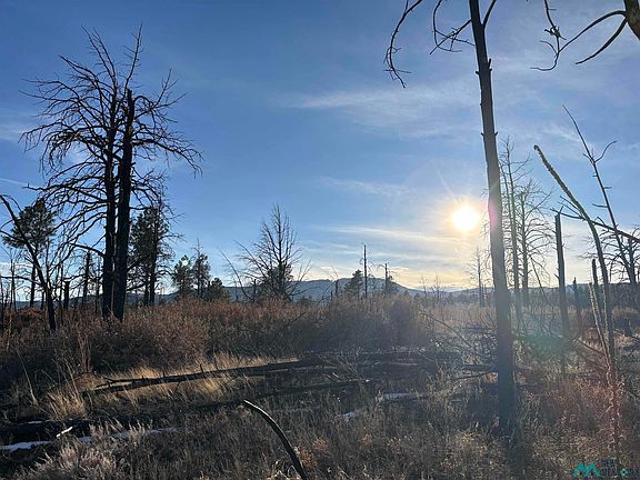 2nd image of 20 Falls Creek Rte