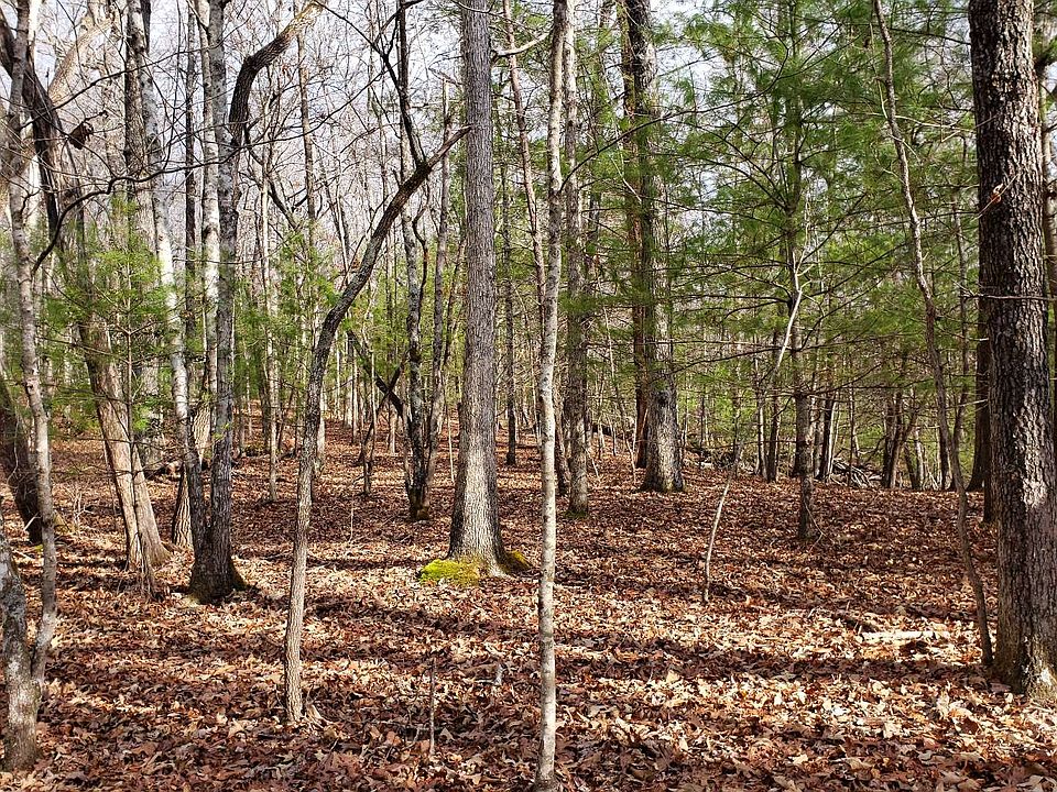 2nd image of Mineral Bluff Hwy
