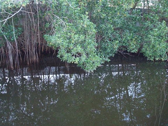 4th image of 35 River Ct