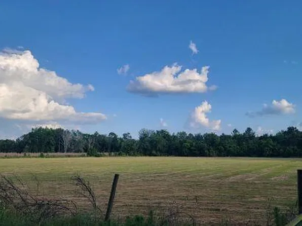 0 Jim Mixon Rd, Manor, GA 31550