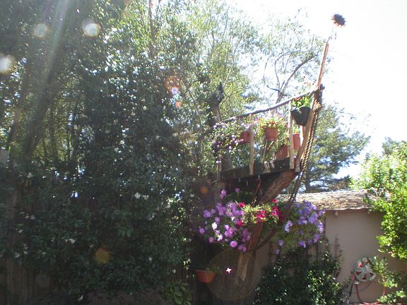 Tree house in garden
