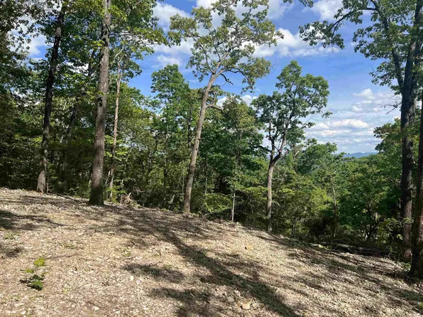 County Road 2909, Marble Falls, AR 72648