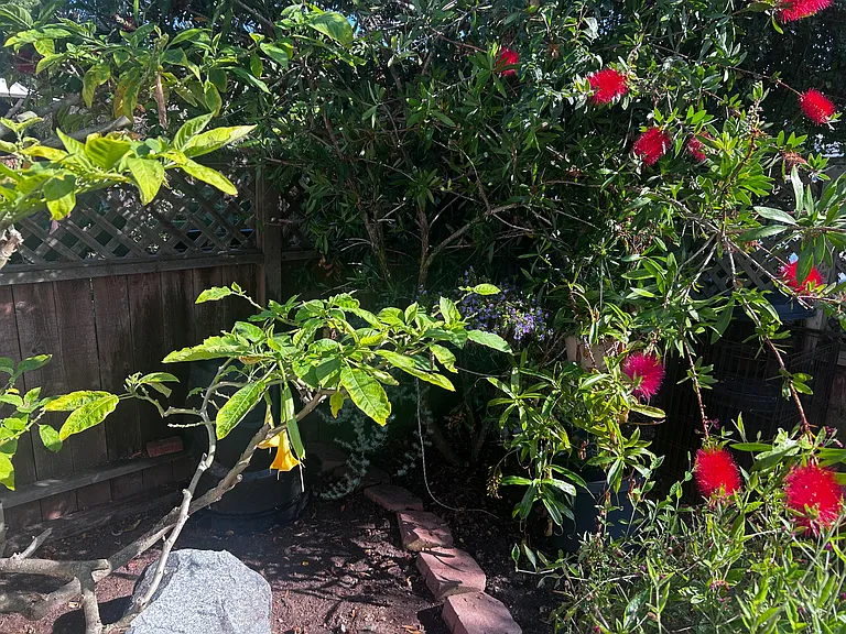 4948 Brighton Ave — Photo 54