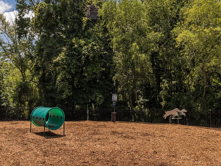 Dog Park for Our Furry Friends