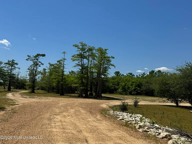 21 County Road 187 — Photo 50