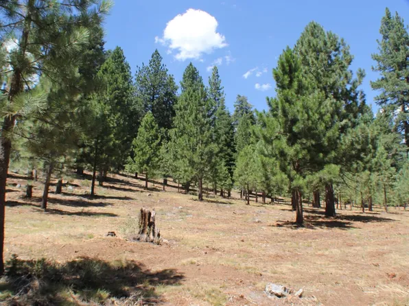 10735 Dogwood Rd, Truckee, CA 96161