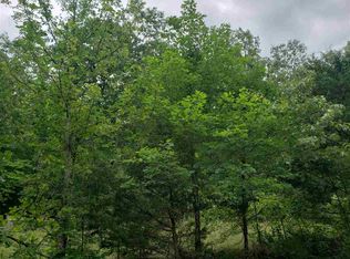 L-21 Lochloosa Dr #B, Cherokee Village, AR 72529