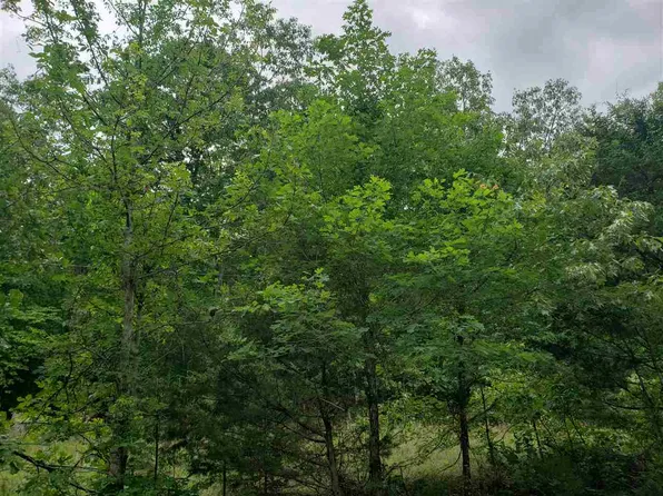 L-21 Lochloosa Dr #B, Cherokee Village, AR 72529