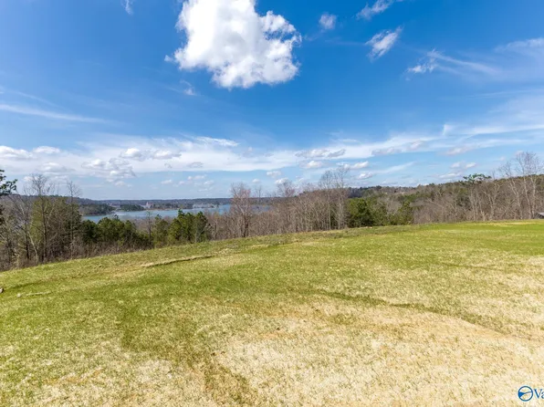 LOT C8 Country Rd #913, Crane Hill, AL 35053