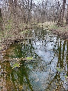 000 Fox Lane, South Greenfield, MO, 65752