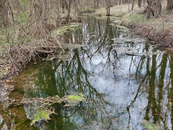 000 Fox Lane, South Greenfield, MO 65752