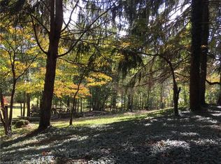 4 Mayfield Rd, Asheville, NC 28804