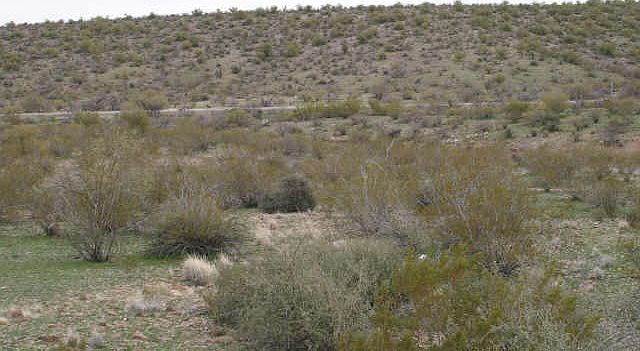 1st image of 4755 S Black Mountain Road #6