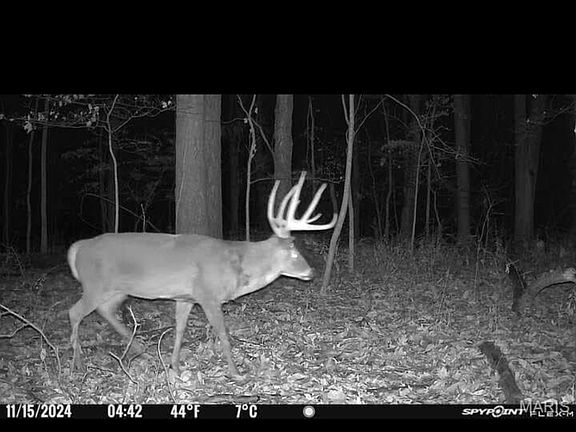 4th image of 0 Rochester Rd