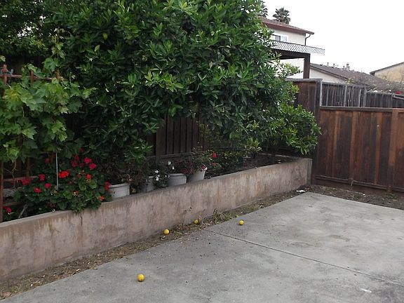 4th image of 31131 Fredi St