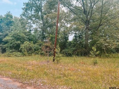 440 County Road 3353 N, Omaha, TX, 75571